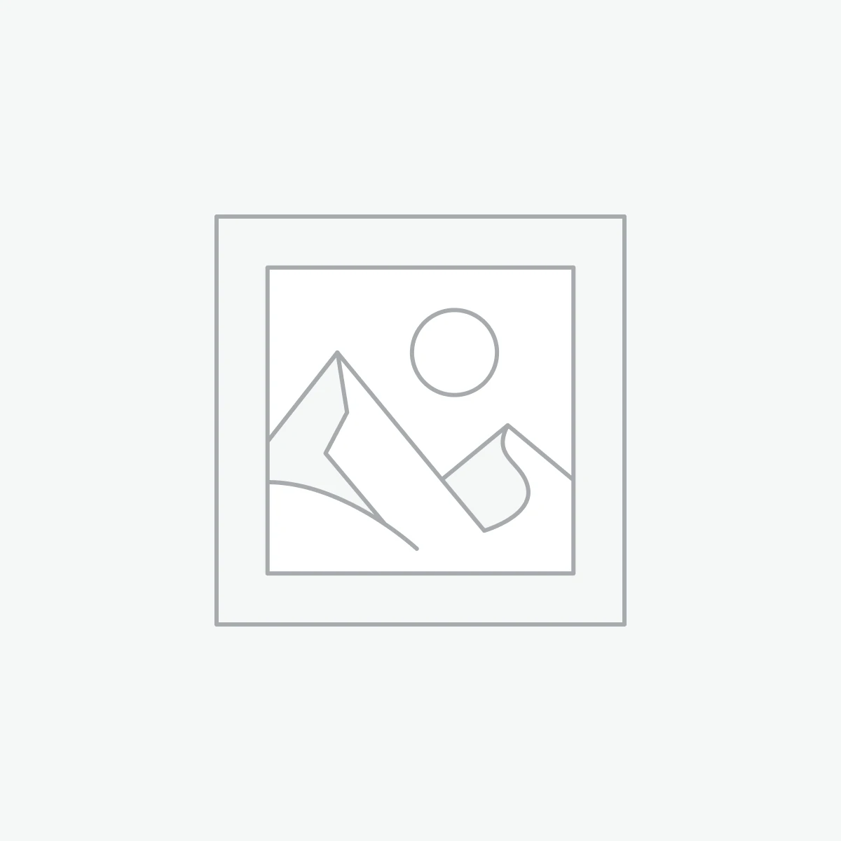 Computer & Accessories